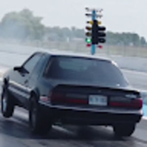 Meet your Posher, Bob